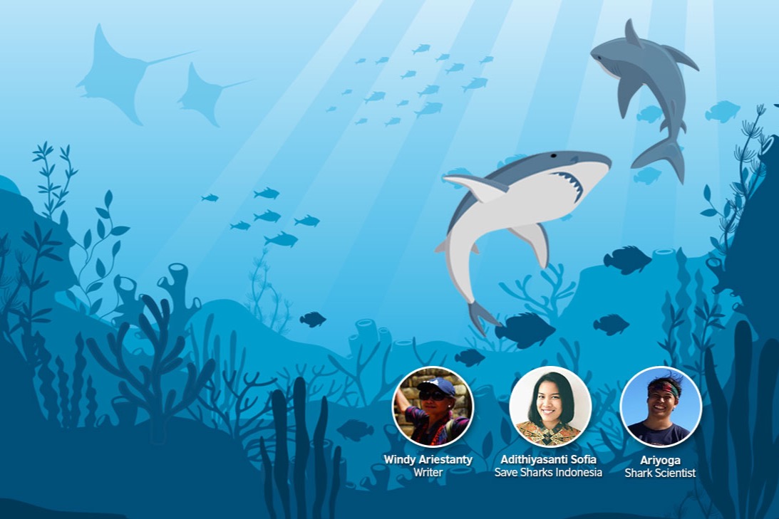 #SaveSharks: A New Era for Sharks