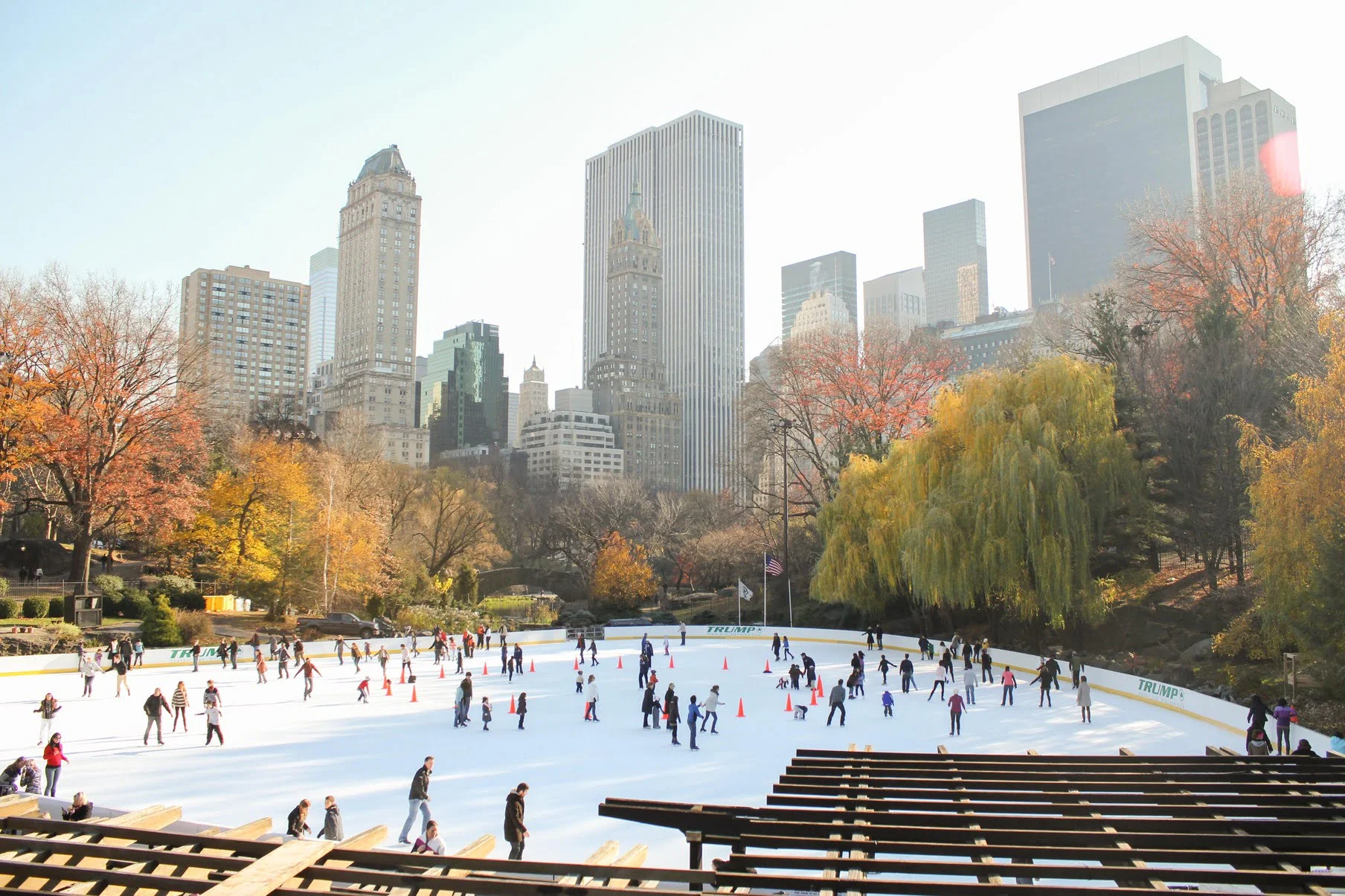 Contoh fotografi landscape Central Park di New York