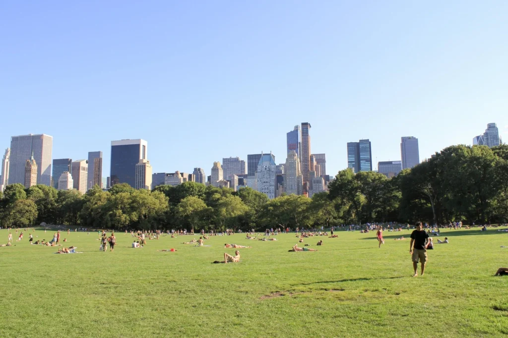 Suasana Ruang Publik, The Great Lawn