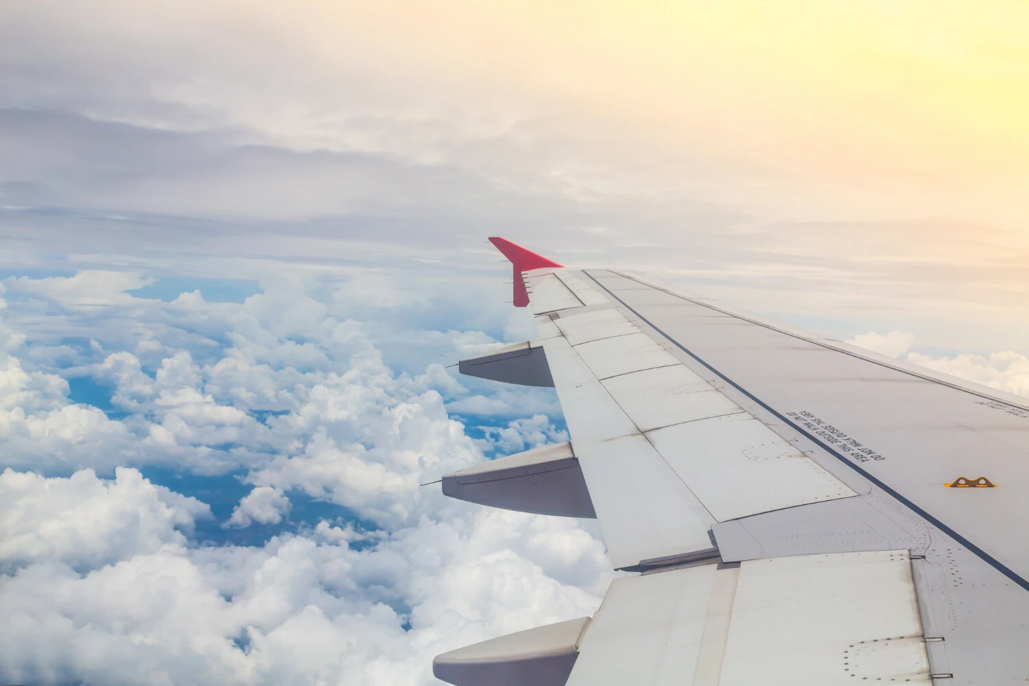 Commercial Airplane